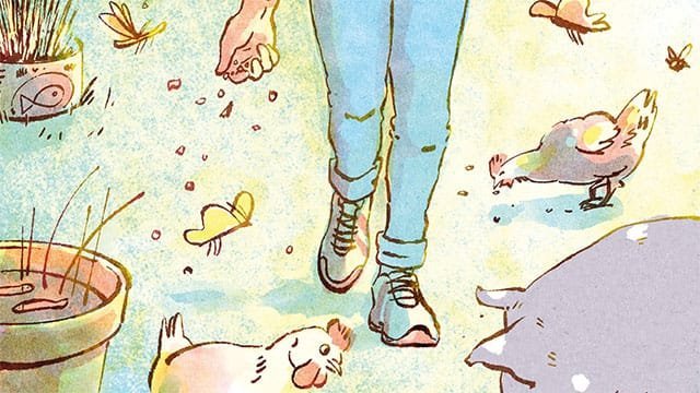 proteína de insetos na alimentação de suínos
