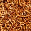 produção de insetos para alimentação animal