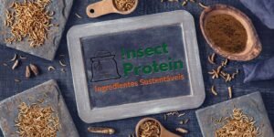 Produção de proteína de insetos em Campo Bom/RS