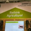Robôs e insetos ajudam no desafio do agro: produzir mais com menos