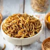 Insetos na alimentação humana são a proteína do futuro