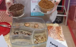 Insect Protein participa do South Summit Brazil em Porto Alegre representando a região
