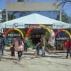 Insect Protein apresentou soluções para o agro durante o RS Innovation