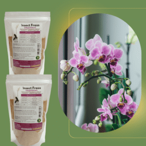 Adubo Orgânico para Orquídeas | Raízes Fortes e Flores Exuberantes | Insect Frass