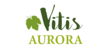 vitis-aurora