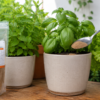 Horta orgânica em apartamento com vasos de temperos e vegetais sendo adubados com fertilizante orgânico Insect Frass