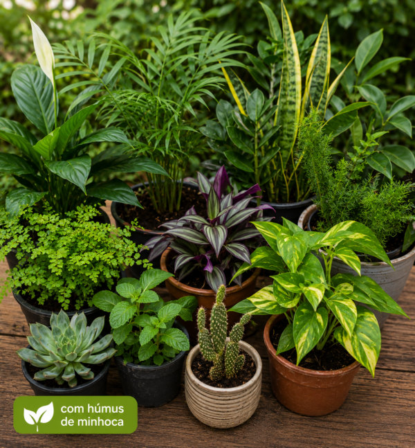 Você usa húmus de minhoca em suas plantas?